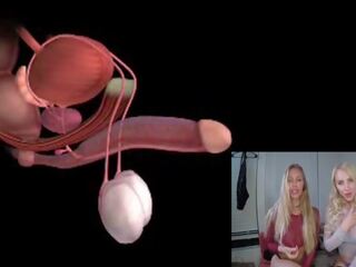 Męski orgazm anatomy explained educational joi: darmowe xxx klips 85