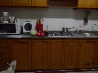 En train de préparer nu chatte nourriture en la stove